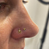 Nostril
