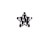 Junipurr Jewelry Titanium Hammered Star