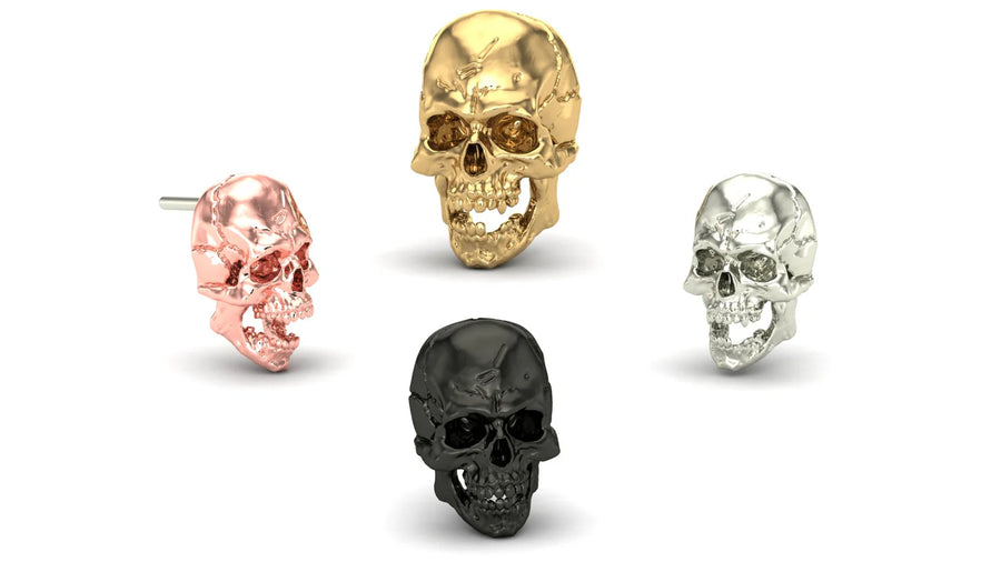 Jaw Motion Skull End