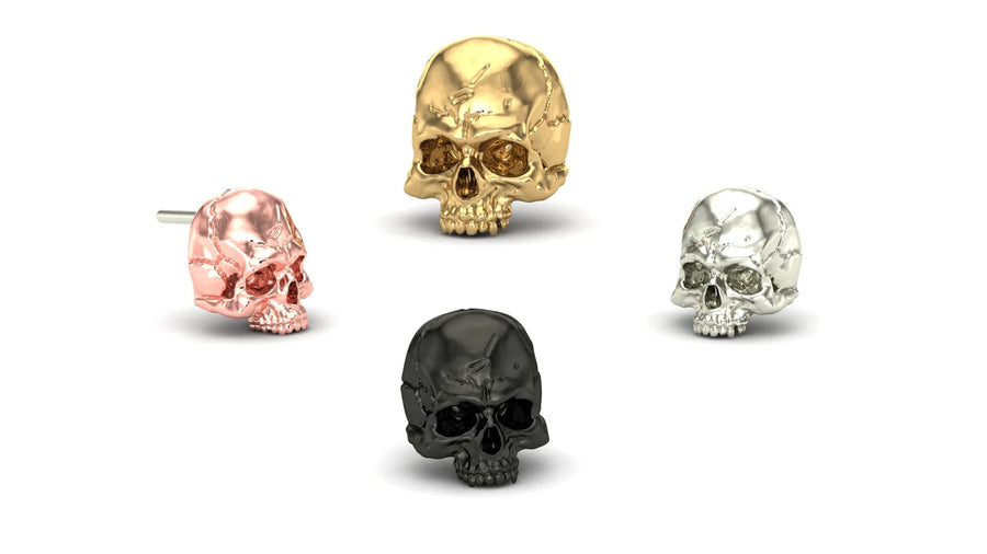 Jaw Motion Skull End