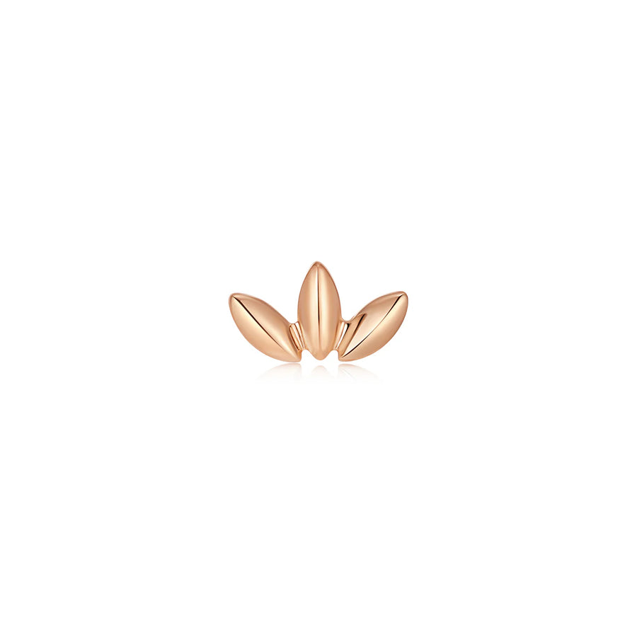 Solace - Threadless End