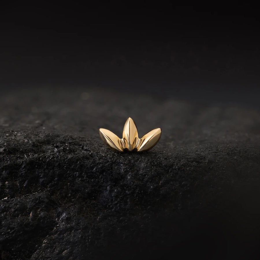 Solace - Threadless End