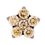 Titanium CZ Flower Threadless End (5 Petals)