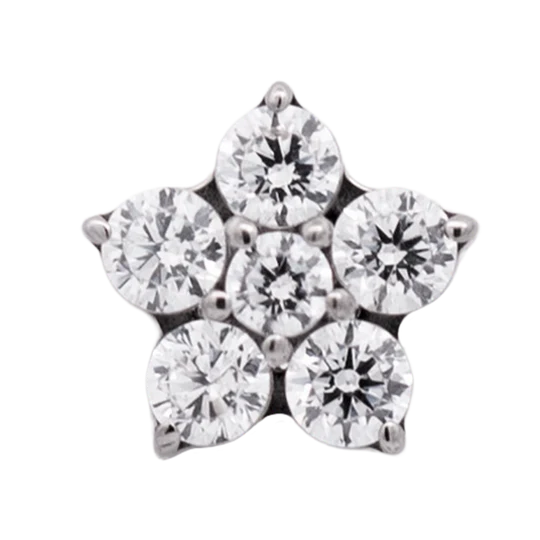 Titanium CZ Flower Threadless End (5 Petals)