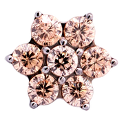 Titanium CZ Flower Threadless End (6 Petals)