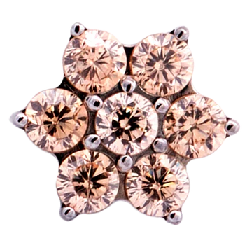 Titanium CZ Flower Threadless End (6 Petals)