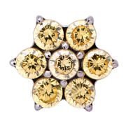 Titanium CZ Flower Threadless End (6 Petals)