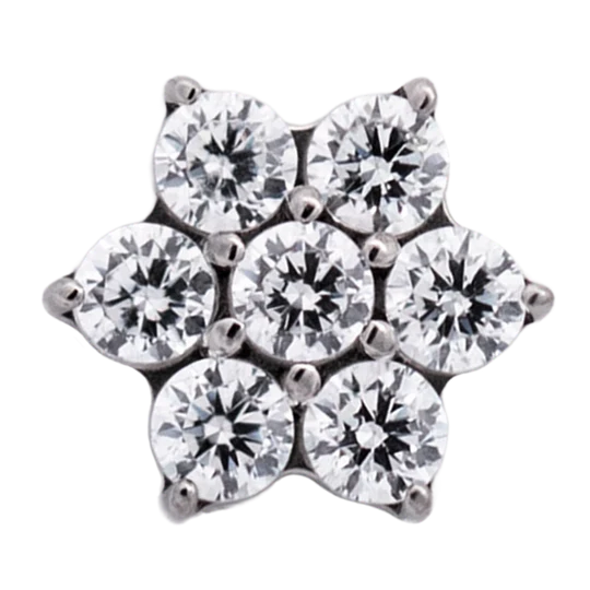 Titanium CZ Flower Threadless End (6 Petals)