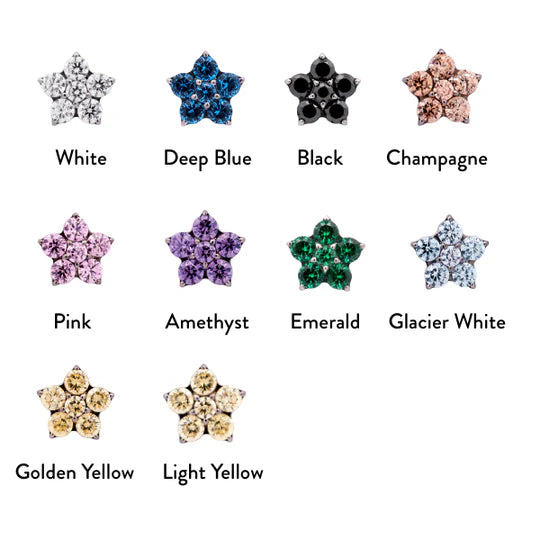 Titanium CZ Flower Threadless End (5 Petals)