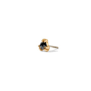 Tawapa Iris Pin