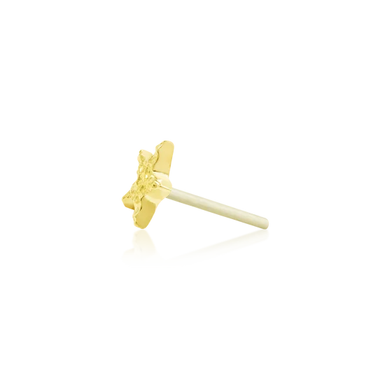 Junipurr Jewelry Hammered Star