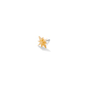 Twinkle End 14ct Gold Star